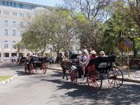 Pferdekutschen Havanna