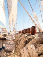 an Bord der Star Flyer