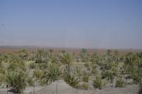 Unterwegs zum Toten Meer