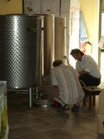 Tag 13 - 1 - Kurzaufenthalt in Patrimonio zur Weinverkostung (3)