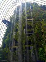 Singapur Cloud Forest