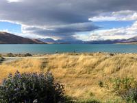 Lake Tekapo