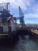 Wellington Impressionen