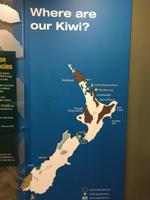 Rainbow Springs-Park