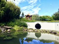 Cambrige Gardens - Chinese Garden
