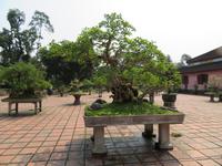 Thien Mu Pagode in Hue