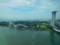 Gardens by the Bay und Marina Bay Sands Hotel