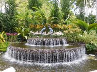 Orchid Garden Singapur