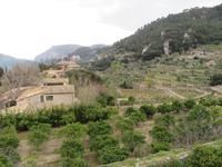 Valdemossa Blick vom Kloster