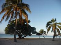 Frhuemorgnds am Strand 