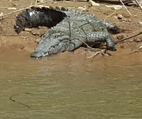 16 Tage Rundreise mit Mexiko-Stadt - Teotihuacan - Cuernavaca - Taxco - Oaxaca - Monte Alban - San Cristobal de las Casas - San Juan de Chamula - Palenque - Campeche - Merida - Chichen Itza - Cancun (951)