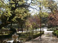 Vatikanische Gärten Rom