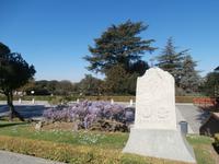 Vatikanische Gärten Rom