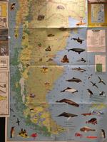 Karte vom Bordreisebüro