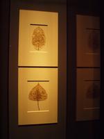 Doha - Museum für Islamische Kunst