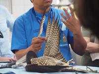 Abu Dhabi - Falkenklinik