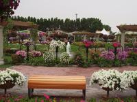 Dubai - Miracle Gardens