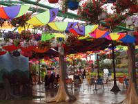 Dubai - Miracle Gardens