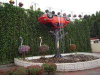 Dubai - Miracle Gardens