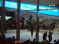 Dubai - Mall of the Emirates