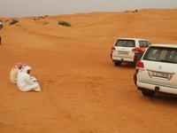 Wüstensafari