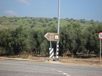 Am See Genezareth: zur Brotvermehrungskirche