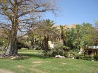 Kibbuz Kalia