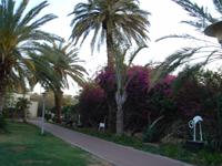 Kibbuz Kalia