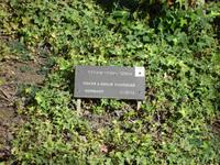 Jerusalem: Rundgang: Yad Vasem