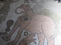 Otranto - Mosaikboden in der Kathdrale