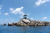 Insel Ave Maria