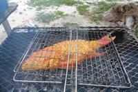 der gegrillte Fisch