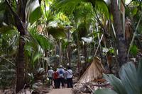 Valle de Mai