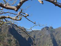 Madeira, Ribeiro Frio, Wanderung Balcoes