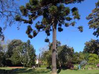 Madeira, Funchal, Palheiro Garden