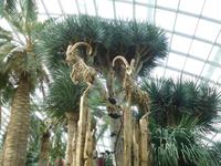 Tierfiguren im Gewächshaus von Gardens by the Bay