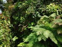 Gardens by the Bay Singapur