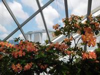 Gardens by the Bay und Marina Bay Sands Hotel