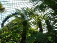 Gardens by the Bay Singapur