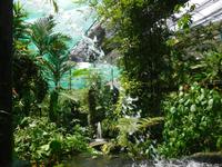 Schmetterlingspark in Kuala Lumpur