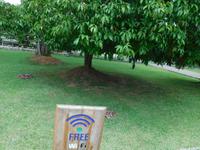 das wichtigste überhaupt - Kandy - Zahntempel Sri Lanka