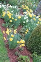 Riedergarten Rosenheim