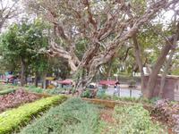 Hängende Gärten Mumbai