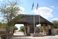 In den Etosha Nationalpark