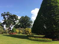 Botanischer Garten Sri Lanka