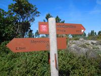 119 Aufstieg zum Picota... gleich geschafft