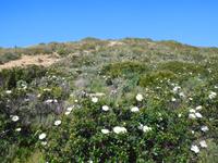 181 Wanderung Richtung Praia da Luz