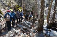 Wanderung auf dem Caledonia-Weg