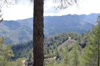 Trodoos-Gebirge