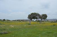 Wanderung zum Aphrodite-Felsen